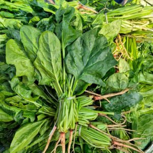 espinaca fresca