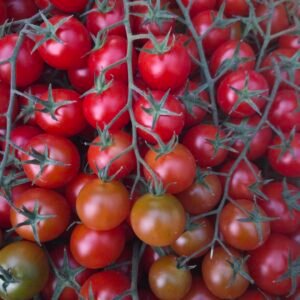 Tomate Cherry Kg