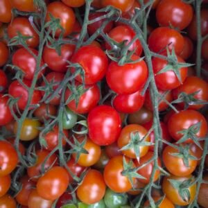 Tomate Cherry  Kg N
