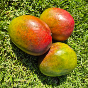 Mango peruano