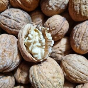 Nueces del año KG