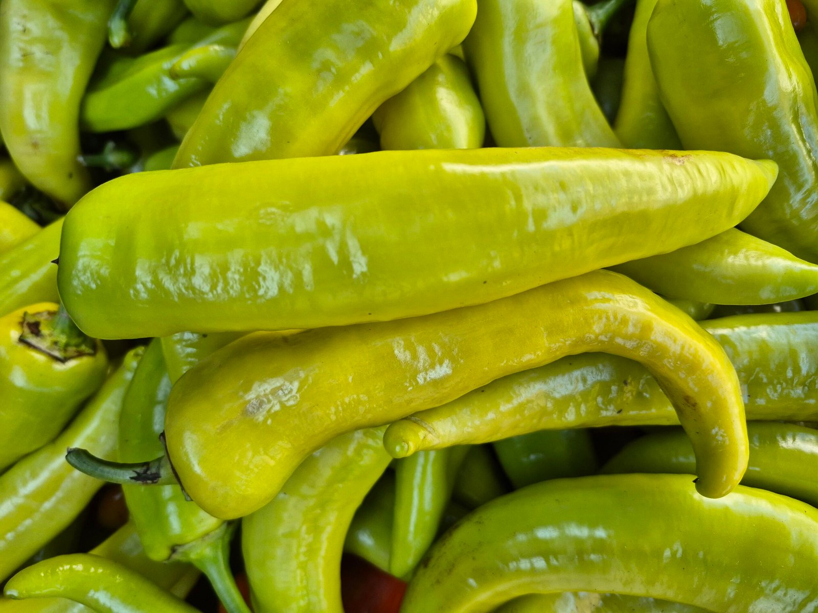 Aji