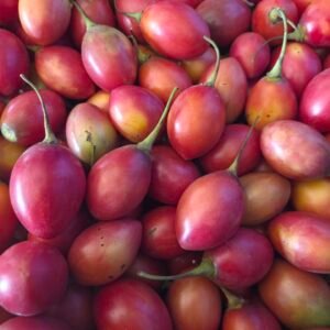 Tomate de árbol KG