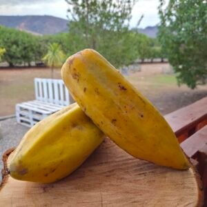 Dos plátanos amarillos maduros sobre una tabla de madera en un jardín al aire libre, con montañas al fondo
