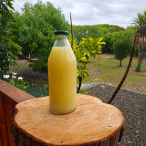 Zumo de limón sutil agroecológico 1LT