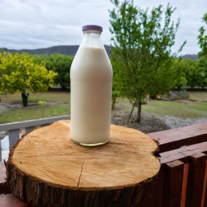 Leche de vaca fresca 1LT