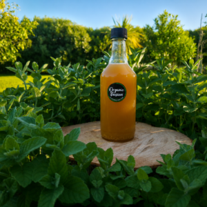 Botella de jugo “Organic Fusion” en un jardín, rodeada de hojas verdes